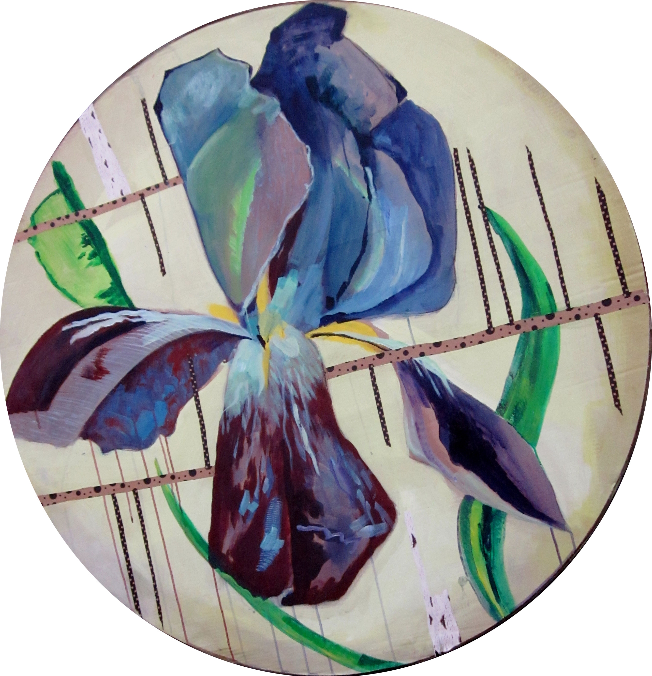 Iris