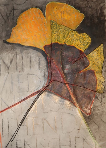 gingko4